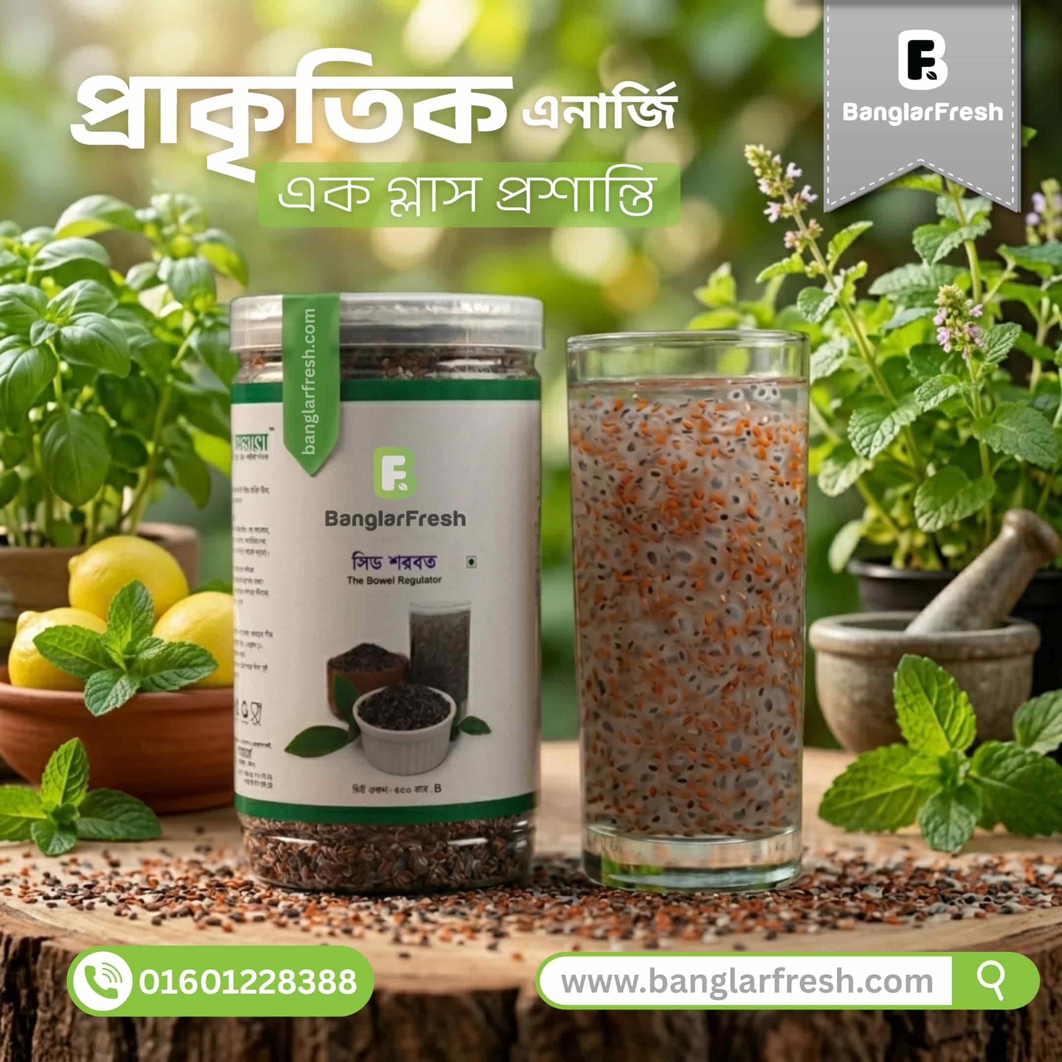 সিড শরবত | Seed Shorbots